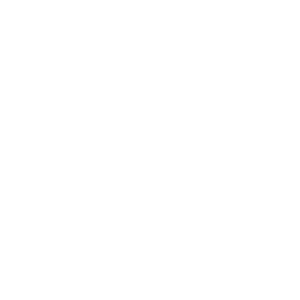 Automotive and New Energy Vehicles